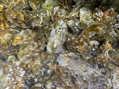 -聚德福海鲜家常菜(刘庄店)