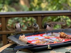 -大冒险家餐厅
