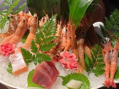 -Mr.Fish鱼鲜生海鲜放题(高德置地冬广场店)