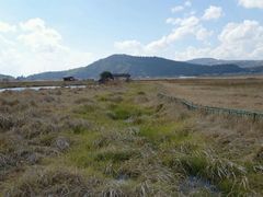 android_upload_pic-腾冲北海湿地