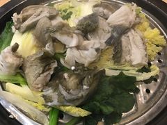 -海大大蒸汽海鲜餐厅·粤菜·特色小炒(欢乐颂店)