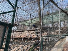 -北京鹿世界主题园