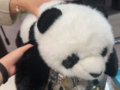 -熊猫屋(宽窄巷子景区店)