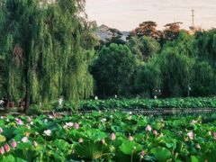 -承德避暑山庄景区