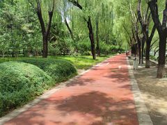 -南长河公园