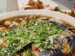 -珊溪水库野生有机包头鱼