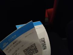 -万达影城(湛江万达广场IMAX店)