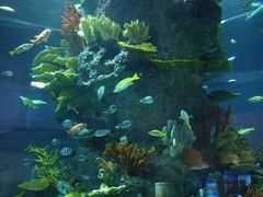 -福州罗源湾海洋世界旅游区