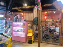 -卡通尼乐园(新达汇三林店)