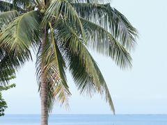 -三亚西岛海洋文化旅游区