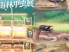 -正佳雨林生态植物园