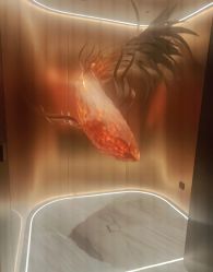 -禾美科技美肤·芳香疗愈SPA联合会所