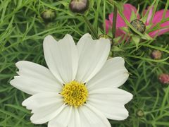 -牛岗山公园
