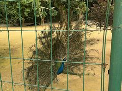 -杭州野生动物世界