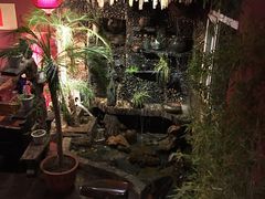 -大匠工房古船木艺术餐厅·猪肚鸡专门店(长白仙岛店)