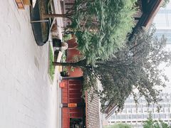 -古大圣慈寺