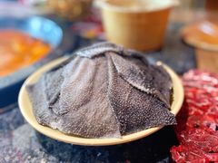 -蜀大侠火锅(森兰花园城店)