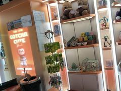 -可爱抓 COCO  GOTCHA(天津鹏欣水游城店)