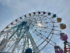 -巨鹏飞梦幻海岸