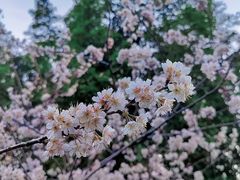 -橘子洲景区