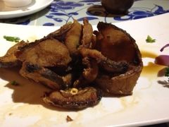 iphone_upload_pic-金八仙酒店