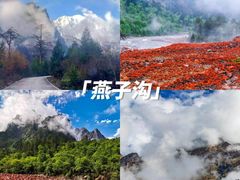 -新都桥贡嘎雪山观景台
