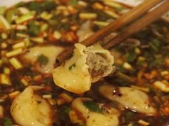 四两酸汤杂拌儿-尤素福东举院饺子馆