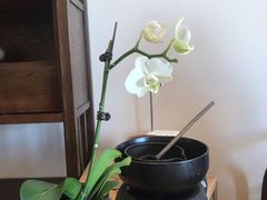 -仰生如卉推拿养生馆(酒仙桥店)