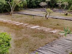 -大湾区中央湿地公园