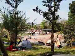 -枫香湖儿童公园