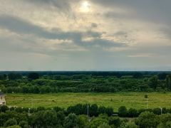 -漢咖啡·全服务式自助晚餐(武汉洲际酒店)