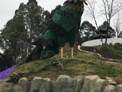 -都江堰玫瑰花溪谷
