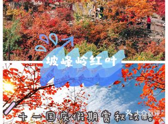 十一去哪玩 |坡峰岭，京郊房山村落赏秋攻略