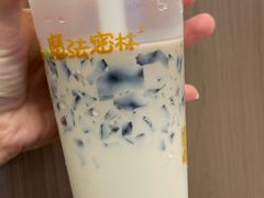 -猫的魔法密林(衣裳街店)