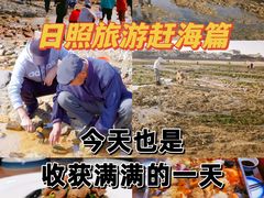 -渡海小渔村.老辈日照菜