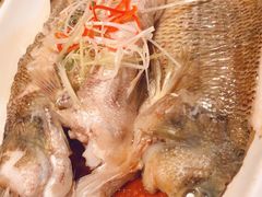 清蒸鲈鱼-大张烙馍村(泉山店)