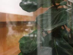-椿Growth