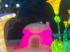 -沈阳奥体冰雪嘉年华