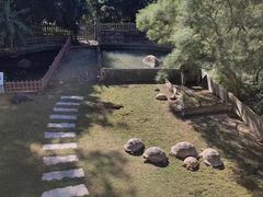 -广东惠东海龟国家级自然保护区