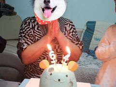 -好利来.生日蛋糕(杨家坪店)