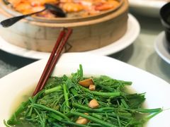 上汤南瓜苗-金满楼(天河中路店)