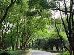 -东湖落雁景区