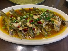 -呼吸森林·生态农庄农家乐私房菜