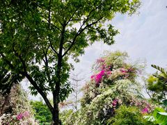 -深圳国际园林花卉博览园