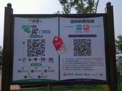 android_upload_pic-武清南湖绿博园