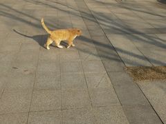 -狼山风景名胜区