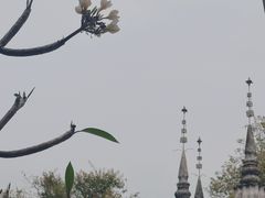 -西双版纳总佛寺