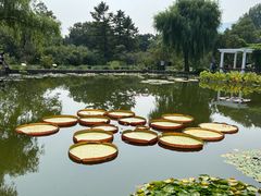 -国家植物园南园