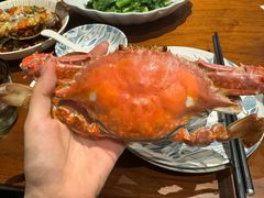 -高佳庄·舟山海鲜(海景旗舰店)