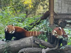 -杭州少年儿童公园